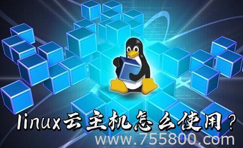 linux云主機(jī)怎么使用？